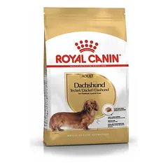 Royal Canin BHN Dauchshund sausas maistas šunims 1,5 kg parduotuvėje kika.lt