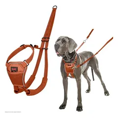 Halti Harness No Pull treniruočių petnešos, oranžinė: dydis XS, pvz., čihuahua — 2 nuotrauka
