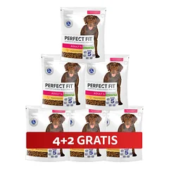 PERFECT FIT Adult 1+ visavertis sausas pašaras didelių veislių suaugusiems šunims, turintis daug vištienos, 6 x 825 g, 4+2 GRATIS.