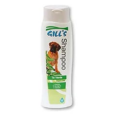 GILL’S GEEN TEA šampūnas (su žaliosios arbatos ekstraktu) 200ml