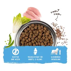 bosch Medium Junior, > 10 kg — 2 nuotrauka