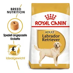 Royal Canin Labrador Retriever Adult