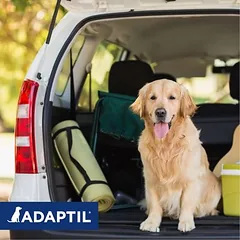 ADAPTIL® purškiklis transportavimui, 60 ml — 3 nuotrauka
