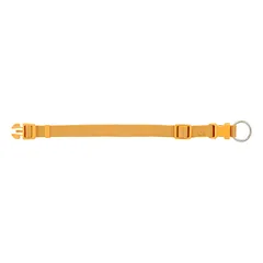 TRIXIE Premium antkaklis, XXS-XS: 15-25 cm/10 mm, kario — 2 nuotrauka