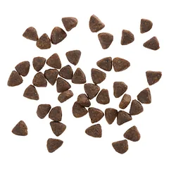 WOLFSBLUT Wide Plain Puppy sausas maistas šuniukams su arkliena ir batatais, 2 kg — 4 nuotrauka