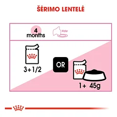 ROYAL CANIN FHN Kitten instinctive in jelly konservai drebučiuose kačiukams 12x85 g — 5 nuotrauka