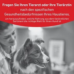 Royal Canin Veterinary Canine Glycobalance