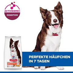 Hill's Science Plan Perfect Digestion Adult 1+ Medium su vištiena ir rudaisiais ryžiais, sausas maistas šunims, 1,5 - 2,9 kg — 3 nuotrauka