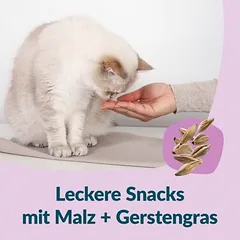 GimCat Nutri Malt Bites skanėstai katėms — 4 nuotrauka