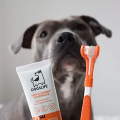 DOGSLIFE dantų priežiūros rinkinys šunims — 2 nuotrauka