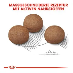 Royal Canin Maxi Digestive Care sausas maistas šunims — 3 nuotrauka