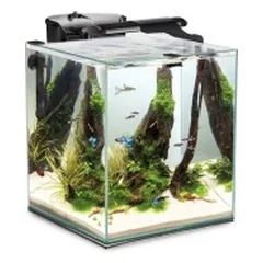Aquael Fish&Shrimp Set Duo Day&Night 35, juodas