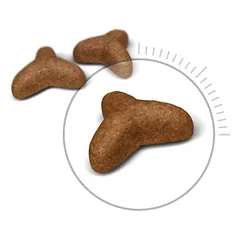 Royal Canin Light Weight care sausas pašaras katėms, FCN 1.5kg — 2 nuotrauka