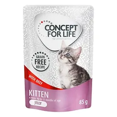 Concept for Life Kitten mit Rind getreidefrei - in Gelee