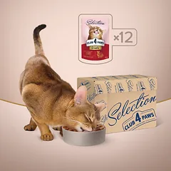 CLUB 4 PAWS Premium plus juostelės suaugusioms katėms su triušiena padaže 12x85 gr, 12x80 gr — 3 nuotrauka