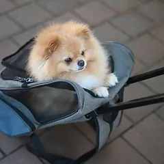 Kerbl Pet kelioninis krepšys su ratukais Trolley Vacation, L 41 x B 26 x H 55 cm — 3 nuotrauka