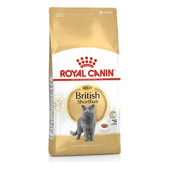 Royal Canin Britų trumpaplaukėms katėms