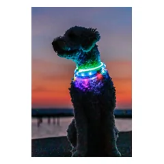 TRIXIE LED antkaklis USB, silikonas, XS-XL 70cm/10mm, žalias (pak. 2) — 5 nuotrauka