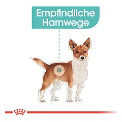 Royal Canin Urinary Care Mousse drėgnas maistas šunims — 3 nuotrauka