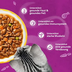 Whiskas 1+ Aromatic Selection drėgnas maistas katėms 48 x 85 g — 4 nuotrauka