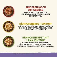 Applaws Taste Toppers bandomasis mišinys 8 x 156 g drėgnas maistas šunims — 3 nuotrauka