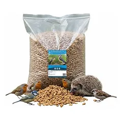 Futterbauer Soldatenfliegenlarven