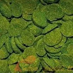 Dajana Spirulina wafers (sveriamas)