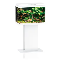 Juwel Primo 70 Akvariumas, 70 l, 61 x 31 x 44 cm, baltas — 2 nuotrauka