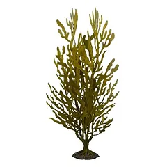 Aqua Della dirbtinis akvariumo augalas Kelpstrauch, žalias — 2 nuotrauka