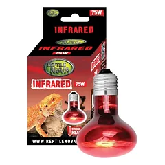REP NOVA Infrared terariumo lempa 75W