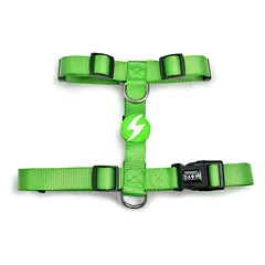 Dashi Solid Back Harness - reguliuojami apsauginiai diržai šunims, Pomarańczowe / M — 3 nuotrauka