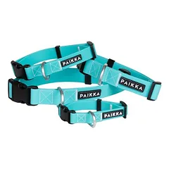 PAIKKA Hundehalsband "Glow Collar" aqua