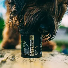 Pokusa DiamondCoat Biotin Max - maisto papildas, gerinantis jūsų šuns odos ir kailio būklę, 350g — 2 nuotrauka