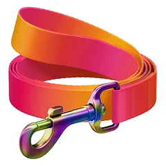 WAUDOG perdirbto nailono pavadėlis šunims, oranžinis, 122 cm x 20 mm nuotrauka