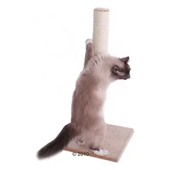 Zooplus Basics draskymo stulpas katėms Olga, smėlio spalvos — 3 nuotrauka