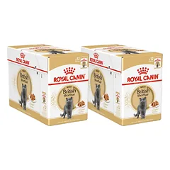 Royal Canin British Shorthair šlapias maistas katėms 24x85g