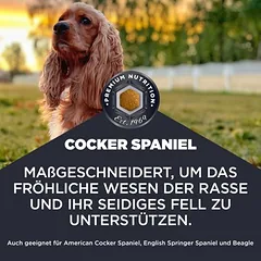 Eukanuba Adult Breed Care Cocker Spaniel, sausas maistas šunims — 2 nuotrauka