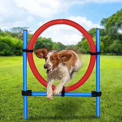 Šuns žaislas PET TOYS 871125247432 Šokinėjimo žiedas 85x3 cm