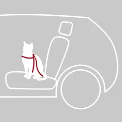 Trixie Car Harness For Cats katės krūtinės diržas su pavadėliu, reguliuojamas, raudonas, 20–50 cm/15 mm — 3 nuotrauka