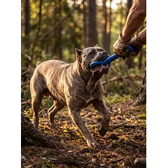 Šunų žaislas, guminis, kaulo formos, mėlynas, 37 cm — 4 nuotrauka