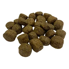 BIO FORM Best Quality Dog Adult 25/11,5 CENNAMO sausas maistas suaugusiems šunims, 20 kg — 3 nuotrauka