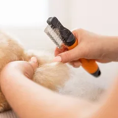 Wahl® kuokštų šalinimo įrankis, L 24 x B 6,3 x H 4,1 cm — 4 nuotrauka
