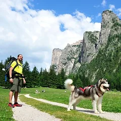 Neewa Bungee pavadėlis, 150 cm ilgio, 25 mm pločio — 5 nuotrauka