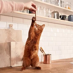 GIMCAT STICKS TURKEY & RABBIT, 4 vnt GRAIN FREE — 3 nuotrauka