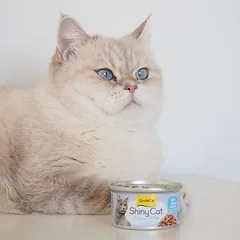 GimCat ShinyCat filė sultinyje, drėgnas maistas katėms 6 x 70 g — 4 nuotrauka