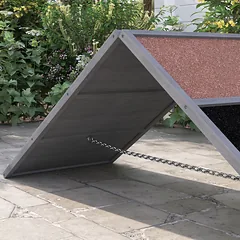 Šunų sporto rampa 173 x 59 x 66 cm — 5 nuotrauka