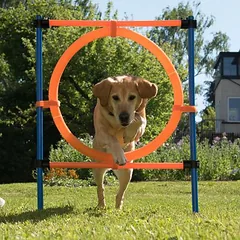 Agility Fun & Sport Sprungring