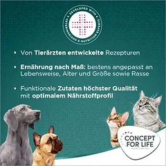 Concept for Life Large Senior sausas maistas šunims, > 10 kg — 5 nuotrauka