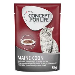 Concept for Life Maine Coon Adult (Ragout-Qualität)
