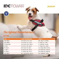 JULIUS-K9 IDC® POWAIR petnešos šunims, oranžinės, Dydis L/1: Krūtinės apimtis 63 - 85 cm — 5 nuotrauka